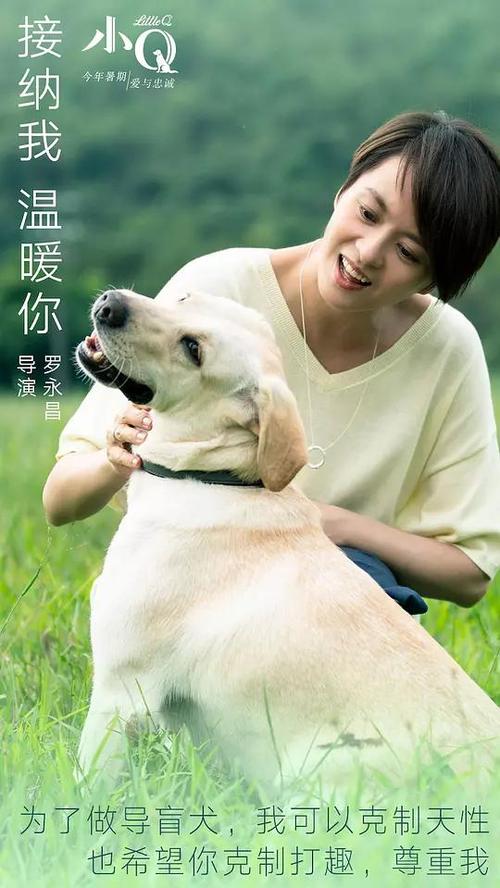 购买假希伯来神学院文凭毕业证